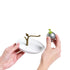 Tea Infuser and Saucer