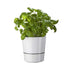 Herb pot - White