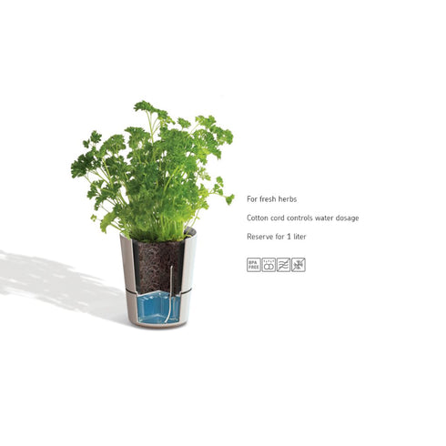 Herb Pot -Black