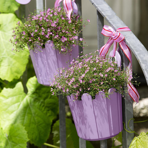 Landhaus Mini Planter- Lilac
