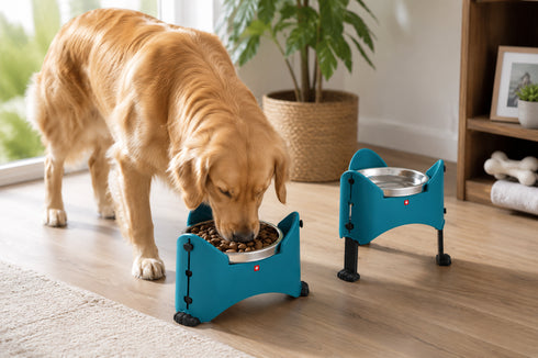 Pet Bowl Adjustable 0.85 L (Light Blue)