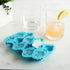 Fish Ice Tray