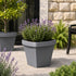 Wave Square Planter- Grey 30 cm