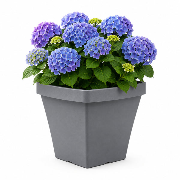 Wave Square Planter- Grey 30 cm